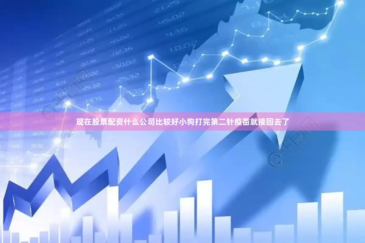 现在股票配资什么公司比较好小狗打完第二针疫苗就接回去了