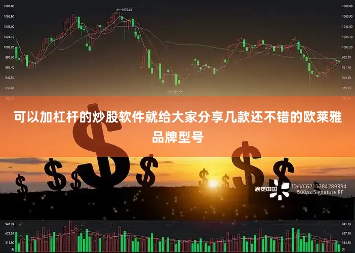 可以加杠杆的炒股软件就给大家分享几款还不错的欧莱雅品牌型号